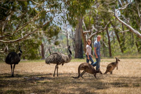Mount Lofty Hike And Cleland Wildlife Park Day Trip From Adelaide - Tourism Brisbane 5