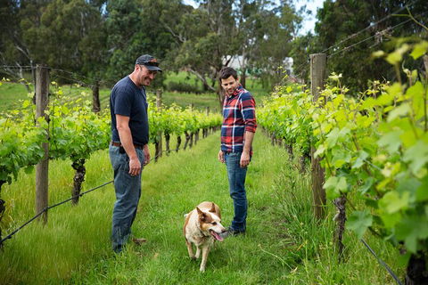 LGBT+ Friendly Full Day Yarra Valley & Dandenong Ranges Private Tour - Tourism Brisbane 4