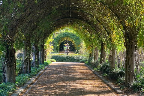 LGBT+ Friendly Full Day Yarra Valley & Dandenong Ranges Private Tour - Tourism Brisbane 5