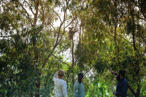 LGBT+ Friendly 3 Day Tour The Grampians, Daylesford & Ballarat - Tourism Brisbane 4