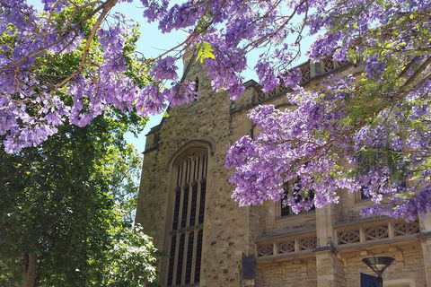 Cultural Caper Adelaide Walking Tour - Tourism Brisbane 1