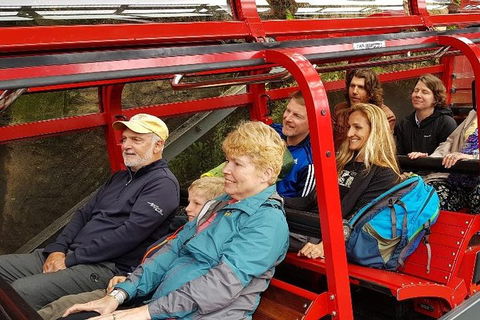 Blue Mountains Ultimate One-Day Tour - Tourism Brisbane 0