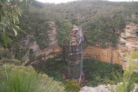 Blue Mountains PRIVATE - Full Day Tour - 6 People Max - Tourism Brisbane 5