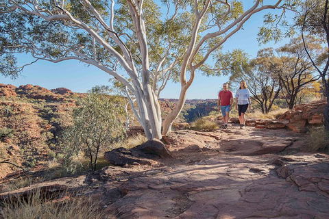 3-Day Tour From Uluru (Ayers Rock) To Alice Springs Via Kings Canyon - Tourism Brisbane 1