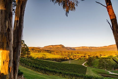 Taste Of The Blue Mountains - Lunch & Wine Tasting, Beer, Cider & Gin Tasting - Tourism Brisbane 1