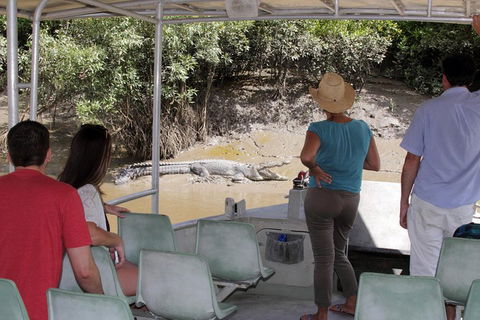 Whitsunday Crocodile Safari Including Lunch - Tourism Brisbane 4