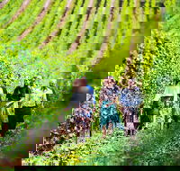 Tasmanian Wine Tour - Tourism Brisbane