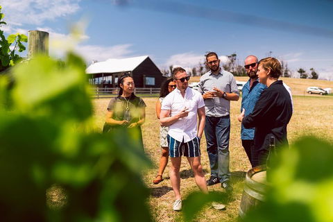 Tasmanian Wine Tour - Brisbane Tourism 5