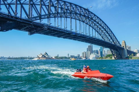 Sydney Speed Boat Adventure Harbour Tour - Tourism Brisbane 5