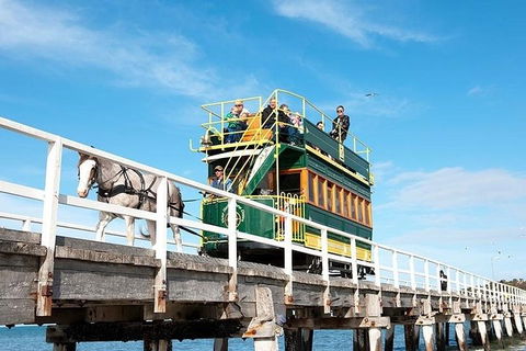 6 Days Adelaide All-Inclusive Touring Package - Tourism Brisbane 2