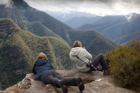 Inside The Greater Blue Mountains World Heritage - A Private Wildlife Safari Overnight - Tourism Brisbane 0