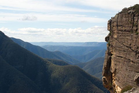 Inside The Greater Blue Mountains World Heritage - A Private Wildlife Safari Overnight - Tourism Brisbane 4