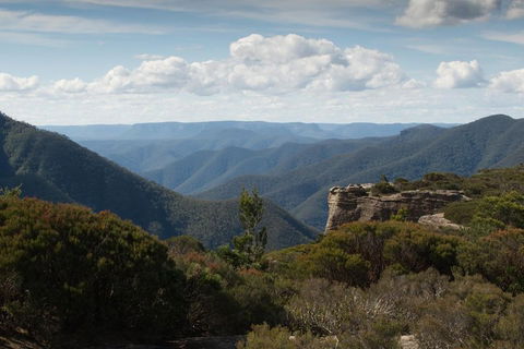 Inside The Greater Blue Mountains World Heritage - A Private Wildlife Safari Overnight - Tourism Brisbane 5