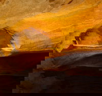 From the Mountains to the Bay - 4 Day Rediscovery Small Group Tour - Tourism Brisbane