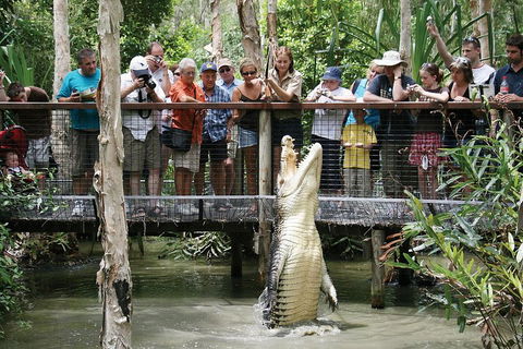Hartley's Crocodile Adventure Half-Day Tour - Tourism Brisbane 1