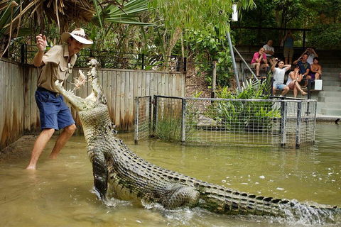 Hartley's Crocodile Adventure Half-Day Tour - Tourism Brisbane 2