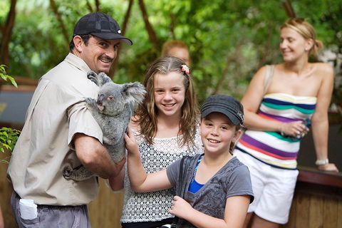 Hartley's Crocodile Adventure Half-Day Tour - Tourism Brisbane 3