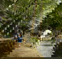 Discover Tour Dandenong Ranges  William Ricketts Sanctuary - Tourism Brisbane