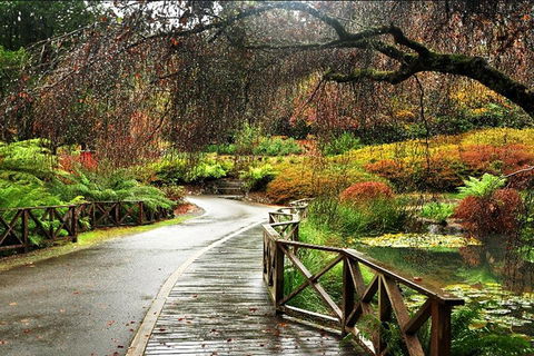 Discover Tour: Dandenong Ranges & William Ricketts Sanctuary - Tourism Brisbane 3