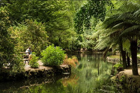 Discover Tour: Dandenong Ranges & William Ricketts Sanctuary - Tourism Brisbane 4