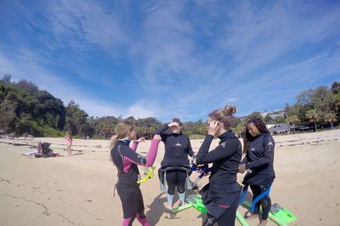 Manly And Shelly Beach Snorkeling Tour - Tourism Brisbane 5