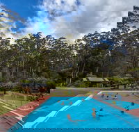 Tahune Airwalk Active Day Trip from Hobart Including Hastings Caves - Brisbane Tourism