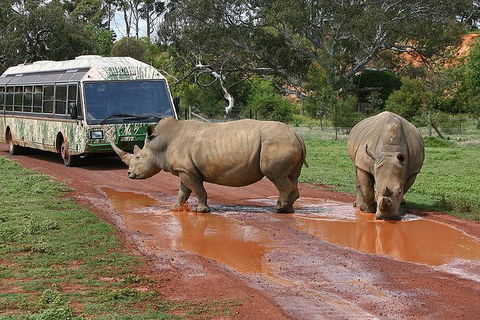 The Ultimate Melbourne Attractions Pass - Tourism Brisbane 4
