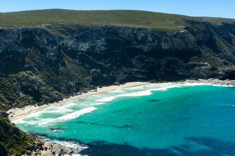 Kangaroo Island Scenic Trail Tour - Tourism Brisbane 4
