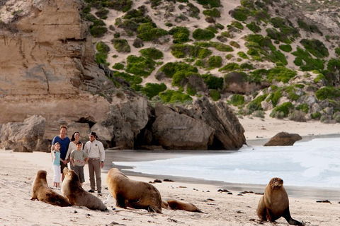 Kangaroo Island Scenic Trail Tour - Tourism Brisbane 5