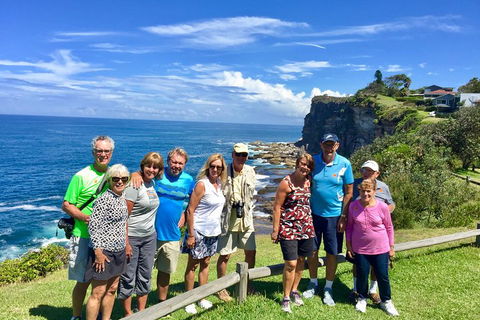 Shore Excursion: Sydney's Northern Beaches & Ku-ring-gai National Park Bus Tour - Tourism Brisbane 0