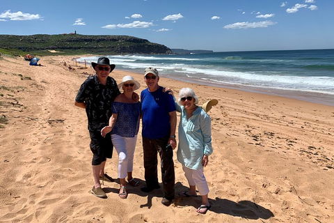 Shore Excursion: Sydney's Northern Beaches & Ku-ring-gai National Park Bus Tour - Tourism Brisbane 3