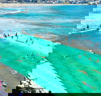 Sydney City Harbour  Bondi Private Tour with Airport pick up or drop off - Tourism Brisbane