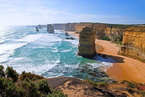 Great Ocean Road Small-Group Ecotour From Melbourne - Tourism Brisbane 2