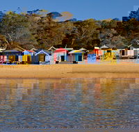Mornington Peninsula Small Group day tour - Tourism Brisbane