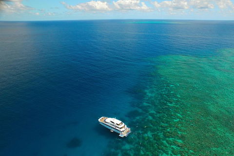 Great Barrier Reef Snorkeling And Diving Cruise From Cairns - Tourism Brisbane 4