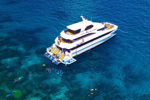 Great Barrier Reef Snorkeling And Diving Cruise From Cairns - Tourism Brisbane 5