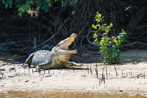 Full Day Cooktown Private Tour - Tourism Brisbane 4