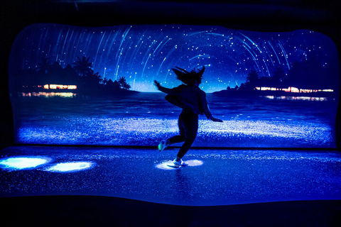 SEA LIFE Sydney Aquarium Entrance Ticket - Brisbane 4u 3