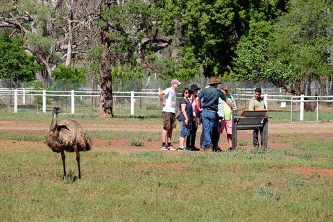 Yura Udnyu - Our Culture, Your Culture (Aboriginal Cultural Walk) - Brisbane Tourism 1