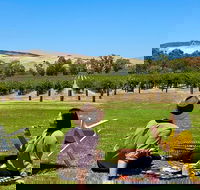 Private Picnic and Wine Tasting Experience in Barossa Valley - Tourism Brisbane