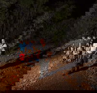 Alice Springs Desert Park Nocturnal Tour - Tourism Brisbane