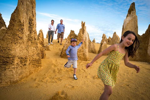 Full-Day Pinnacles Desert And Yanchep National Park Tour From Perth - Tourism Brisbane 0