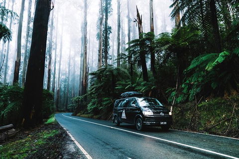Small Group: Mornington Peninsula Hike And Hot Springs Day Tour From Melbourne - Tourism Brisbane 3