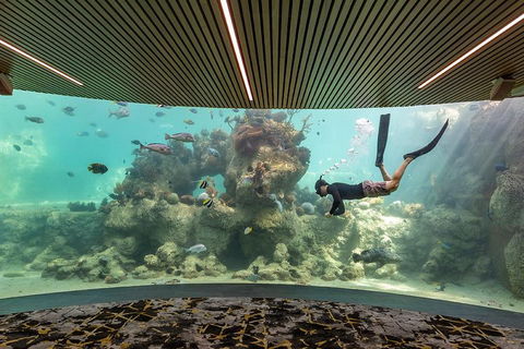 Whitehaven Beach And Daydream Island Cruise - Tourism Brisbane 4
