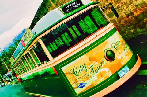 Hobart Half-Day Sightseeing Coach Tram Tour - Tourism Brisbane 5