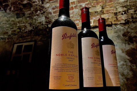 The Ultimate Penfolds Magill Estate Wine & Underground Cellar Tour - Tourism Brisbane 5