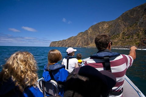 Seal Island Boat Tour From Victor Harbor - Brisbane Tourism 0