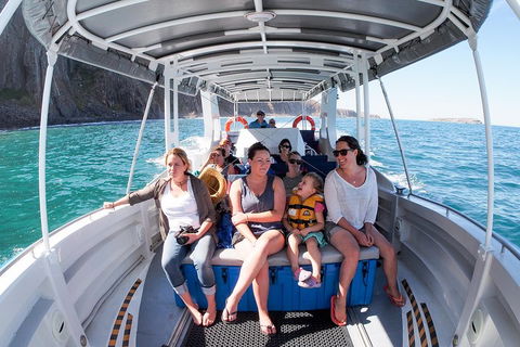 Seal Island Boat Tour From Victor Harbor - Brisbane Tourism 1