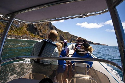 Seal Island Boat Tour From Victor Harbor - Brisbane Tourism 2