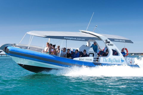 Seal Island Boat Tour From Victor Harbor - Brisbane Tourism 3